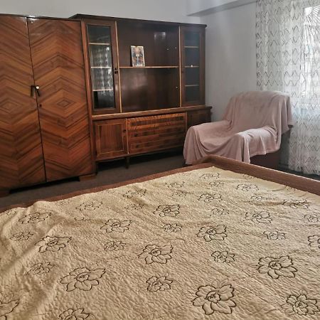 Garsoniera Lägenhet Craiova Exteriör bild